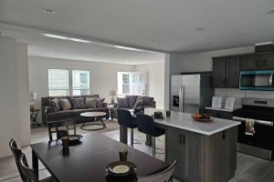 Titan Eastpoint Aspire kitchen into living room